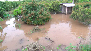 Triều cường dâng cao, nhiều hộ dân tại Cần Thơ và Vĩnh Long lao đao