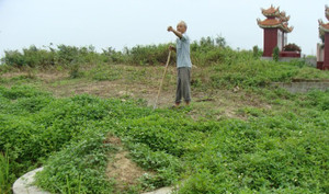 Thoải mái tàn phá nghĩa địa mộ cổ khổng lồ chứa cả tấn báu vật ở Hải Dương