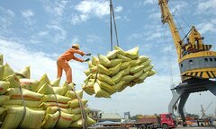 Trung Quốc đứng đầu thị trường xuất khẩu nông sản Việt Nam