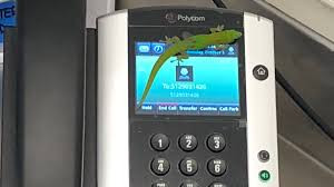 Tắc kè gọi điện 'khủng bố' bác sỹ 9 lần trong 15 phút