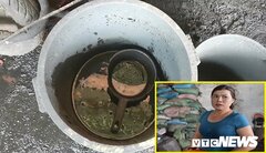 Trộn lõi pin Con Ó, sỏi vào tiêu để bán kiếm lời, 5 người bị truy tố