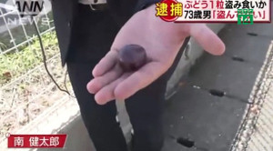 Clip: Trộm 1 quả nho trong cửa hàng, cụ ông Nhật Bản bị cảnh sát bắt