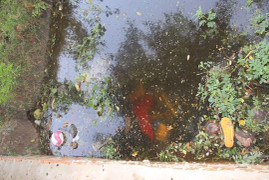 Phát hiện 2 thi thể nam giới dưới mương thoát nước ở Tây Ninh