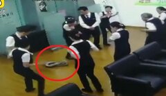 Clip: Trăn dài 2m rơi xuống từ trần nhà giữa cuộc họp của ngân hàng
