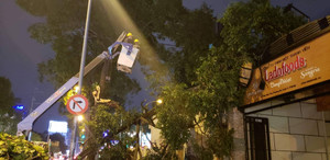 Nhánh cây gãy đè sập tường nhà dân tại TP.HCM