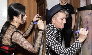 Ký tên lên tranh, Đàm Vĩnh Hưng và Lệ Quyên bị giới họa sĩ chỉ trích