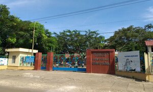 3 học sinh bị chồng cô giáo về hưu dâm ô: Cảnh sát nói gì?