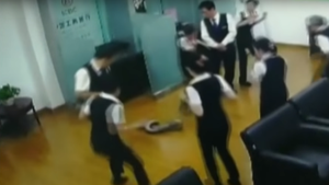 Nhân viên ngân hàng sốc nặng khi thấy trăn dài 1,5 m từ 'trên trời rơi xuống'