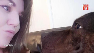 Bị chó nhà cắn xé suốt 40 phút, bà bầu đơn thân sinh non 6 tuần