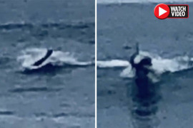 Xôn xao sinh vật bí ẩn có ngoại hình giống hệt người ở bờ biển Mỹ