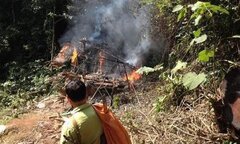 Đến hiện trường kiểm tra khai thác gỗ lậu, cán bộ kiểm lâm bị tạt xăng đốt