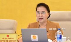 Chủ tịch Quốc hội: Nhiều người thành đại gia từ kẽ hở trong quản lý đất đai