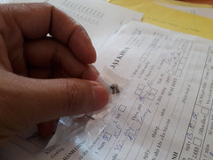 Đang làm vườn bị trúng đạn chì nhập viện