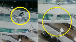 Rùng mình cảnh người phụ nữ ngã xuống bể cá mập vào đúng giờ cho cá ăn