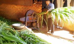 Máy băm cỏ năng suất cao