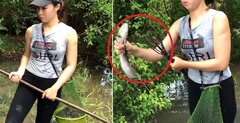 Clip: Cô gái miền Tây dùng lao xiên cá bách phát bách trúng