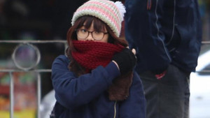 Mùa đông năm nay ấm hơn thường lệ?