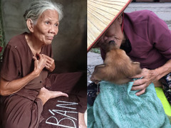 Bà cụ nghèo bán chó gây chia rẽ cộng đồng mạng: Đâu là sự thật?