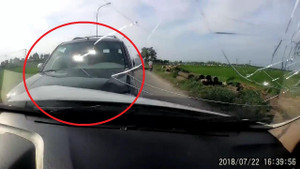 Clip: Tài xế say xỉn gây tai liên hoàn thảm khốc ở Hà Nội