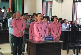 9 bị cáo phá rừng ở Bình Định lĩnh 81 năm tù