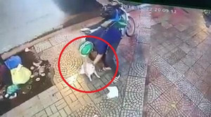 Clip: Truy tìm nam thanh niên đội mũ Grabbike trộm chó ở TP.HCM