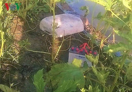 Dùng điện bẫy chuột, nam thanh niên bị điện giật chết ở Cà Mau