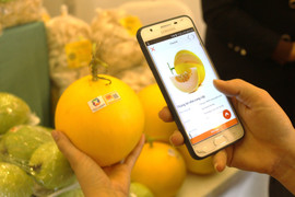 Hệ thống truy xuất nguồn gốc nông – lâm – thủy sản, thực phẩm