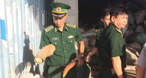 Phó Thủ tướng biểu dương các đơn vị bắt giữ hơn 10 tấn ngà voi, vảy tê tê