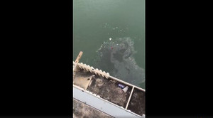 Xe buýt chở nhiều người rơi xuống sông Dương Tử ở Trung Quốc