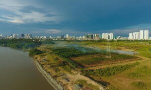 Tạm đình chỉ công tác Tổng giám đốc Tân Thuận chờ điều tra