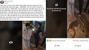 Thực hư nam thanh niên trộm chó bị treo cổ đánh chết ở Bắc Giang