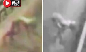 Video: Quái vật 'nửa người, nửa chó' lao phăm phăm qua cao tốc giữa đêm