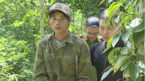 Khởi tố kẻ hiếp dâm người phụ nữ trong rẫy ở Đắk Lắk