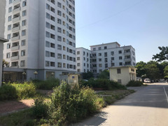 Khu tái định cư Phú Diễn bỏ hoang, cỏ mọc ùm tùm