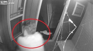 Clip: Đột nhập nhà dân, hứng đạn từ nữ chủ nhà phải chạy trối chết