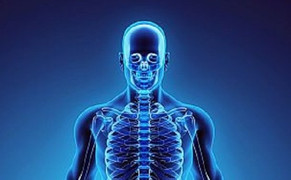 Tế bào gốc trong xương người có thể tự làm mới