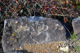 Dân mạng phẫn nộ hành động vẽ bậy chữ 'A HÀO' trong khu di tích cổ Nhật Bản