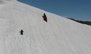 Gấu con leo đỉnh núi tuyết cao vút gây bão mạng