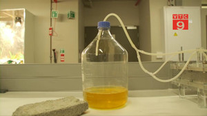 Video: Choáng với quy trình sản xuất gạch từ... nước tiểu người