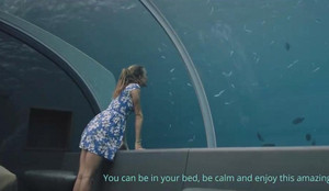 Khách sạn đẹp như thủy cung dưới Ấn Độ Dương giá 1 tỷ đồng/đêm