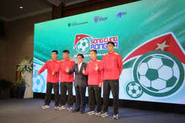 Bỏ tiền tài trợ mua bản quyền AFF Cup 2018, Lavifood là ai?