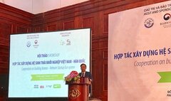 Hợp tác xây dựng hệ sinh thái khởi nghiệp sáng tạo Việt Nam - Hàn Quốc