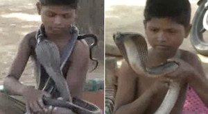 Bé trai vào rừng bắt rắn kịch độc về làm bạn sau những giấc mơ lạ