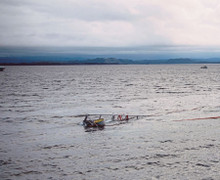 Tàu cá 48 tấn của Hàn Quốc bị tàu Nhật Bản đâm chìm gần quần đảo tranh chấp