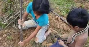 Video: Hai chị em liều mạng bắt trăn, rắn để mưu sinh