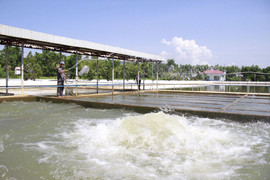 Đà Nẵng thiếu nước trên diện rộng, Bộ TN&MT yêu cầu đảm bảo nước sinh hoạt cho dân