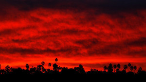 Ít nhất 63 người chết, hơn 600 người mất tích trong thảm họa cháy rừng ở Mỹ