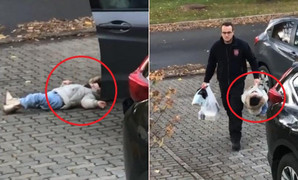 Clip: Con gái nằm ườn ra đất không chịu đi bộ và phản ứng 'khó đỡ' của bố