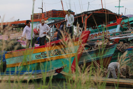 Hơn 5.600 tàu thuyền ở Bình Thuận neo đậu tránh bão số 8 an toàn