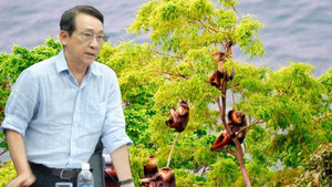 Chủ tịch Hiệp hội Du lịch Đà Nẵng vừa bị đề nghị xóa tên Đảng viên là ai?